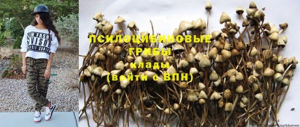 мескалин Баксан