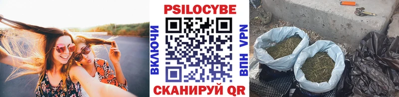 Псилоцибиновые грибы Cubensis  МЕГА зеркало  Ершов  где можно купить наркотик 